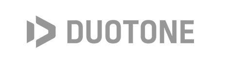 duotone logo gris